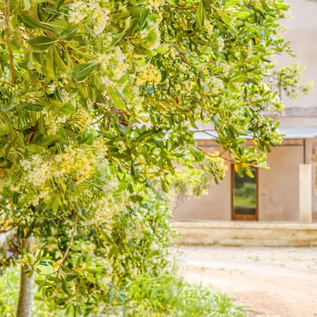 منتجع Masseria Scafazzi - Salento