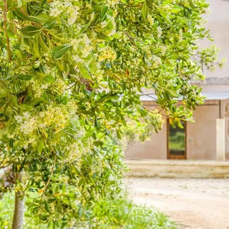 Masseria Scafazzi - Salento Сasa de vacaciones Presicce
